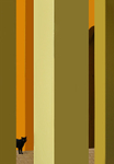 S34