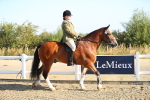 SBM_00373