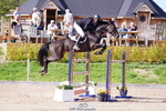 Cls 33 National 1.40m Open portfolio
