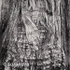 Bark 36