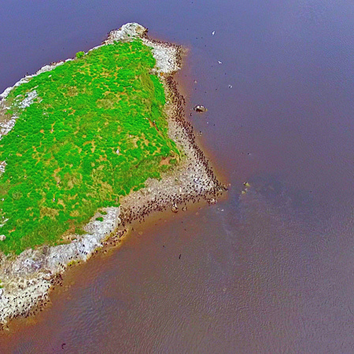 Goat Island Aerial Drone View