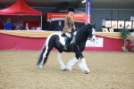 SBM_09733