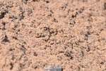230606A-172833-00206