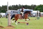 SBM_08775