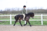 SBM_007408