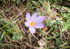 Valley of the orchids walk