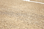 SBM_005441
