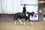 SBM_6572