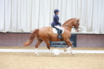 SBM_001963