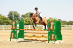 SBM_001334