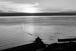 ANT_0407-2