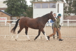 SBM_07611