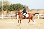 SBM_017031