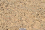 230409A-114522-00737