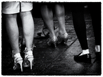 WEDDING GUESTS #3 - NYC