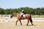 SBM_012586
