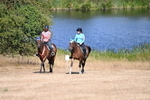 WJ6_8252