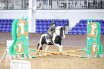 SBM_000172
