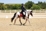 SBM_010813