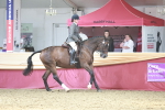 SBM_07162