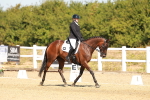 SBM_017741