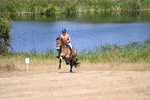 WJ6_8760