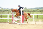 SBM_009308