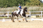 SBM_002527