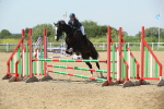 SBM_012451