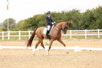 SBM_001377