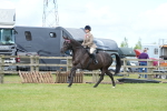 SBM_12939