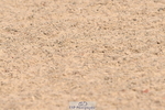 240509A-093601-00603