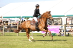 SBM_08989