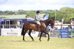 SBM_13196