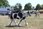 WJ6_8947