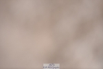 230712-104126-22276