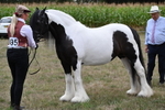 WJ6_5485
