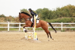 SBM_007991