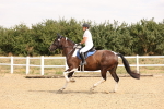 SBM_001195