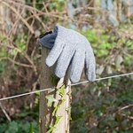 Lost glove #027