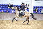 SBM_002091