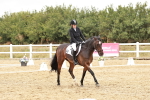 SBM_003623