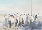 'The Scramble'