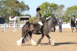 SBM_22198