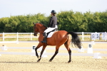 SBM_008110