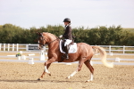 SBM_016862