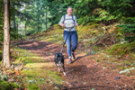 Glentress-1708