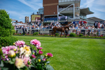 130625-Race 2-Carnation Queen-8732
