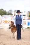 Class 415 - Horse-Pony judge would most like to take home (IH or Ridden) portfolio