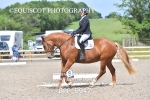 BPP_9947